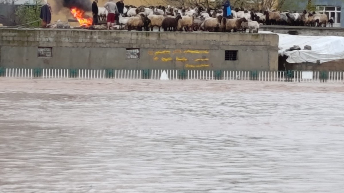 Siirt’in Kurtalan İlçesinde Sağanak Yağış: Çok Sayıda Evi Su Bastı
