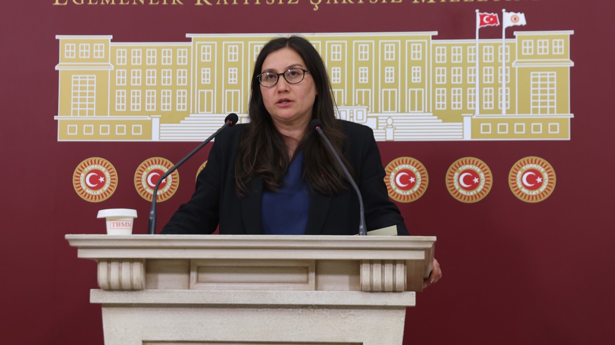 Burcugül Çubuk ODTÜ’lü öğrencilere yönelik işkence ve taciz iddialarını Meclis’e taşıdı