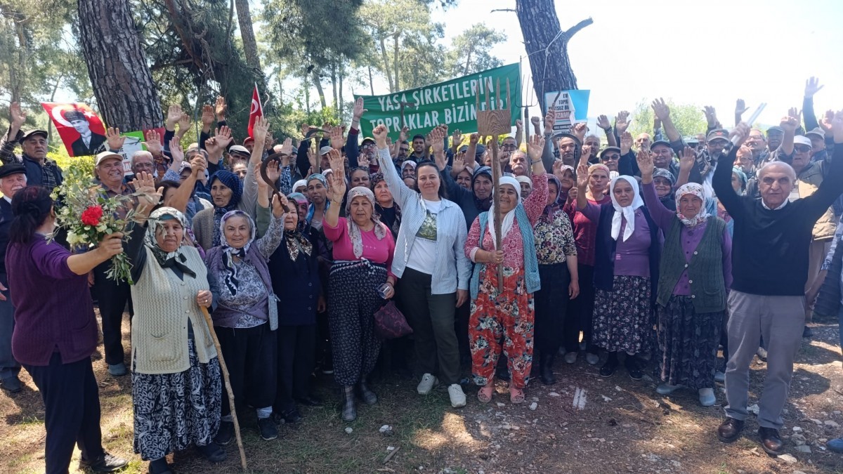 Akbelen Direnişinde Önemli Kazanım: Danıştay Acele Kamulaştırma Kararını Durdurdu