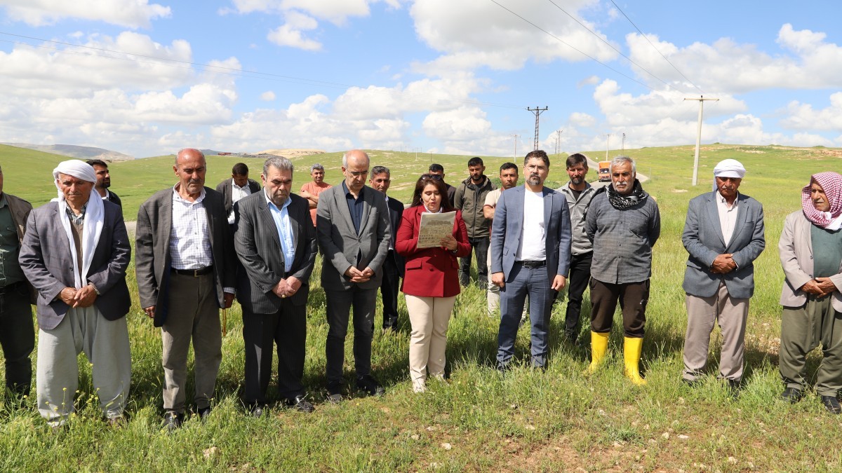Mardin’de Ekoloji Direnişi Kazandı: Zeytinli’deki GES Projesi İptal Edildi