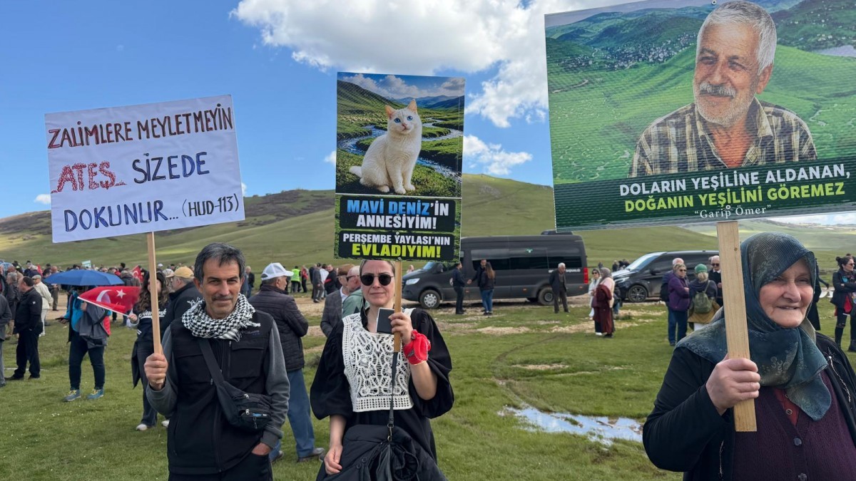 Ordu’da maden sondajına mahkeme engeli: Perşembe Yaylası için yürütmeyi durdurma kararı