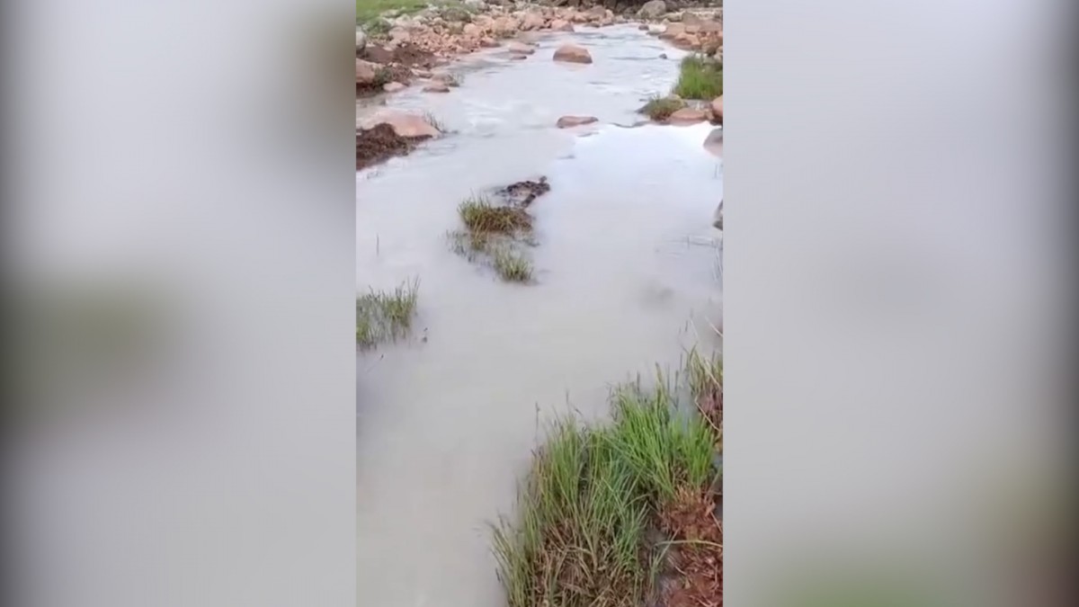 Şırnak’ta ekolojik kriz: Gabar’daki petrol aramaları Rîsor Deresi’ni zehirledi