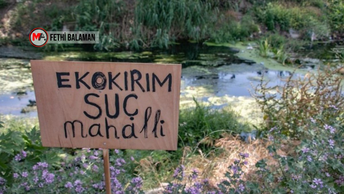 Ekolojist Johana Pytlickova: Doğa İçin Yas Tutmak Yerine Mücadele Edilmeli