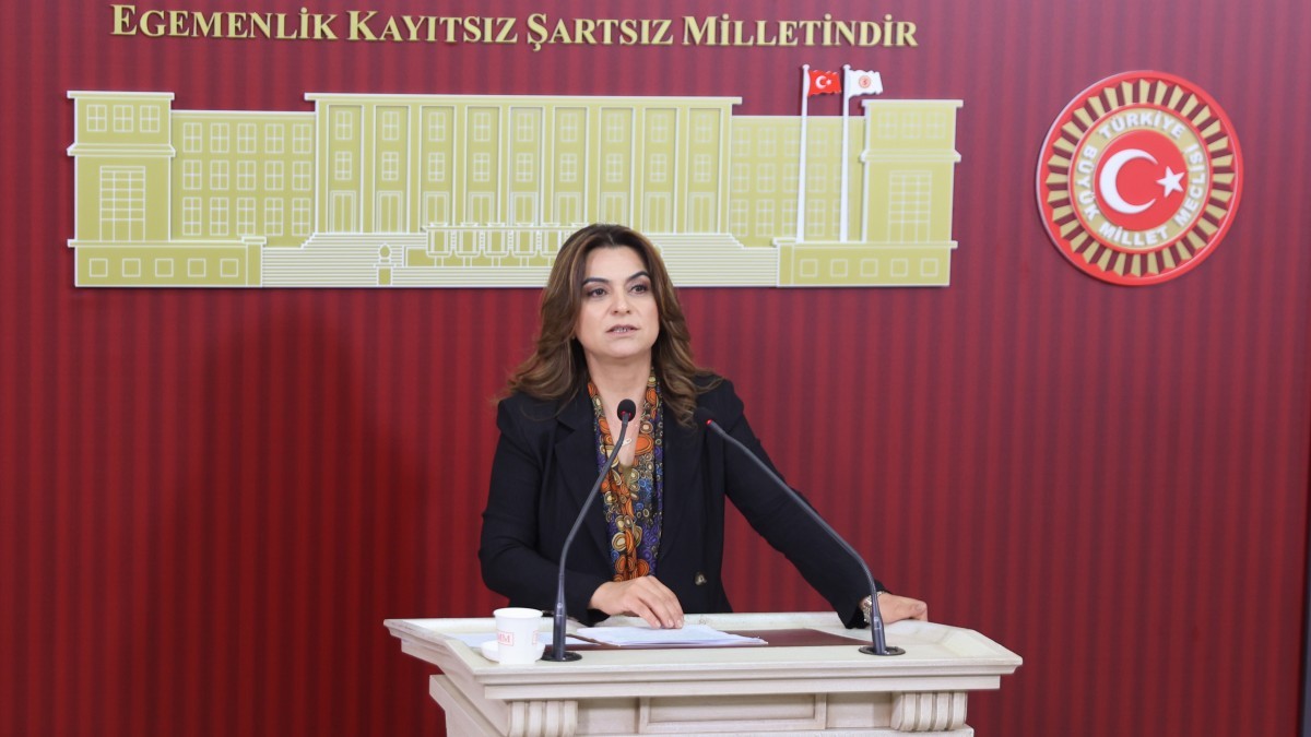 Koçyiğit’ten Ankara’daki toplu tutuklamalara tepki: Bu kararlar korku siyasetinin ürünüdür