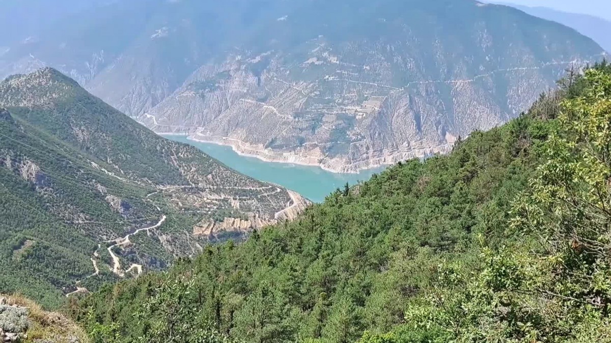 Artvin Ardanuç’ta Doğa Talanına Onay: Ormanlık Alanda Maden Ocağı Açılacak