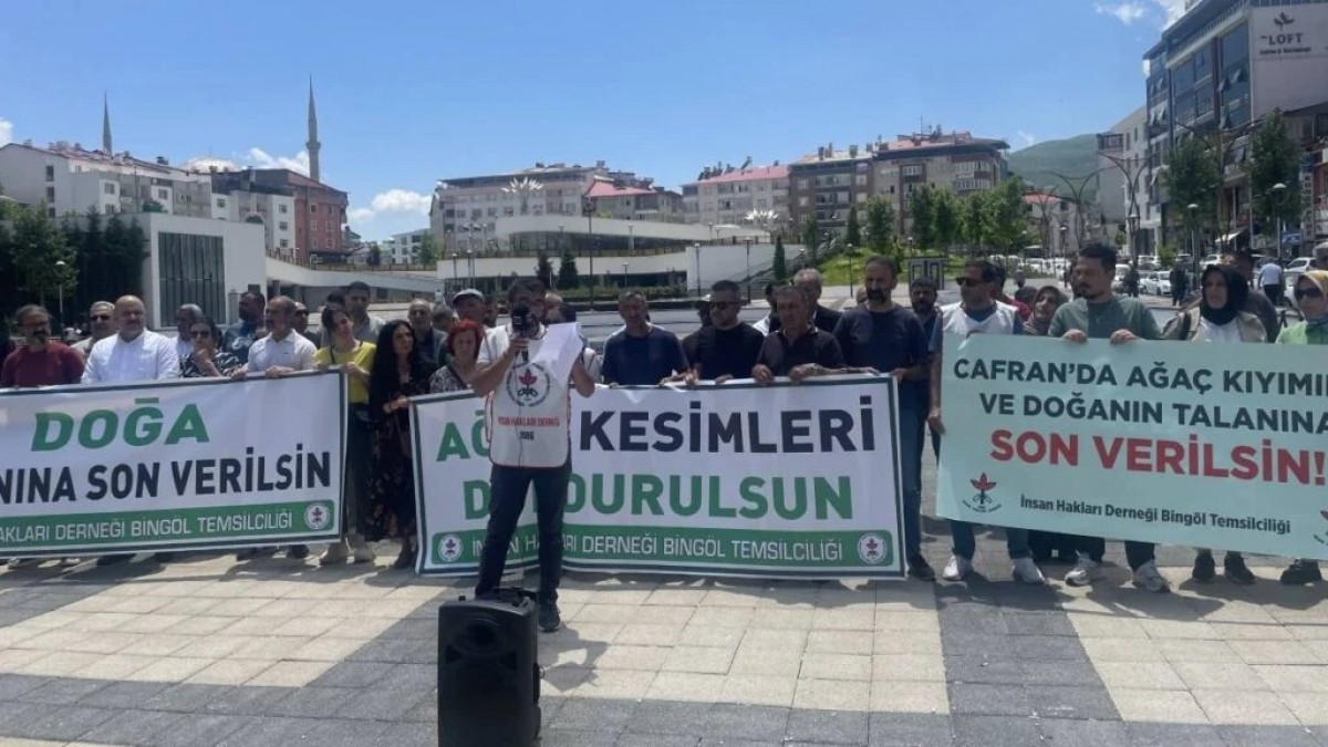 Bingöl’deki ağaç kıyımına karşı doğa nöbeti uyarısı