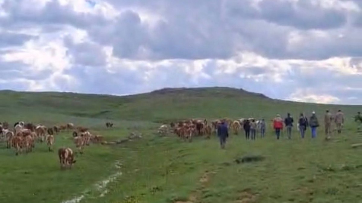 Malazgirt’te Yayla Gerginliği: Önce Korucular Sonra Jandarma Müdahale Etti