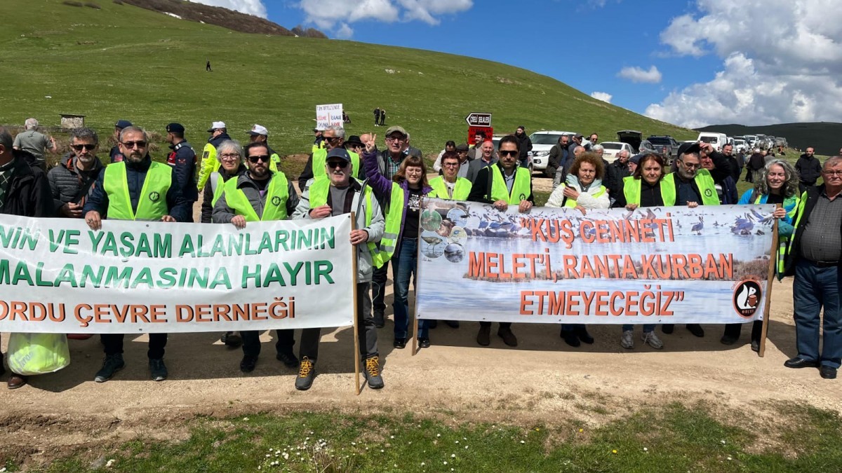 Perşembe Yaylası’nda Maden Tepkisi: Ekoloji Mücadelesi Ortaklaştırılmalı