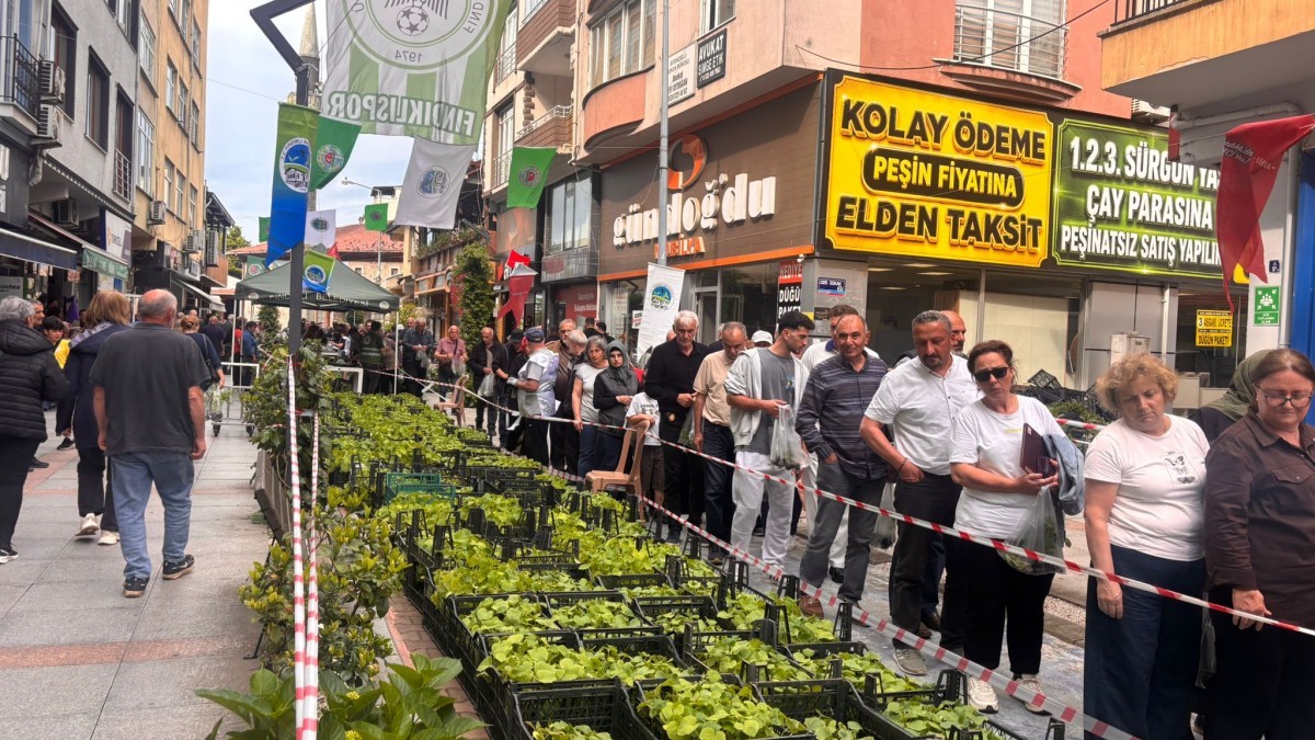 Fındıklı’da dayanışma üretimi: 100 bin sebze fidesi toprakla buluşuyor