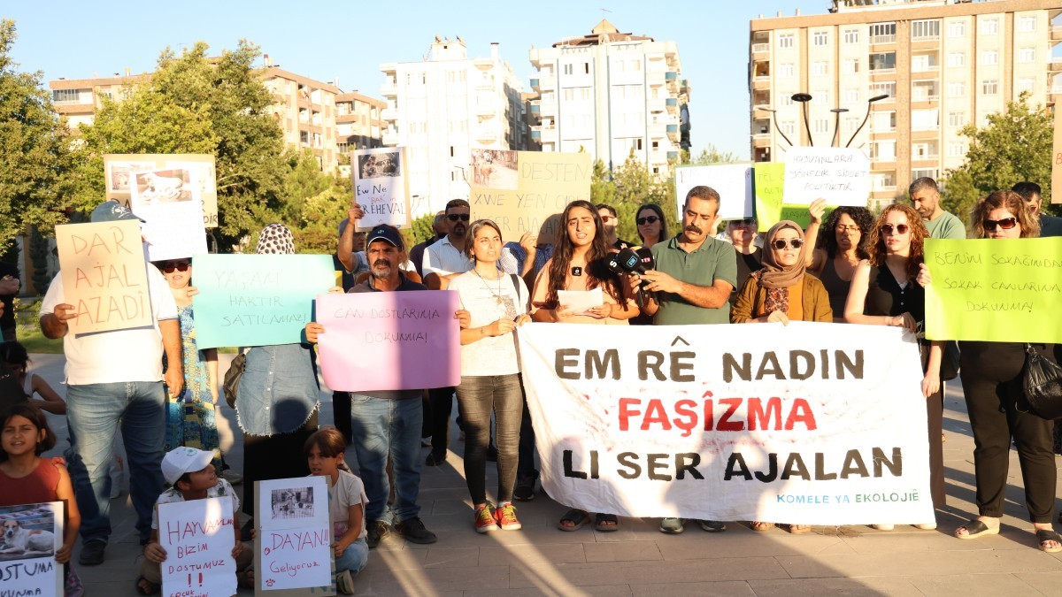 Diyarbakır Ekoloji Meclisi’nden sokak hayvanları için çağrı: Yaşam hakkını birlikte savunalım