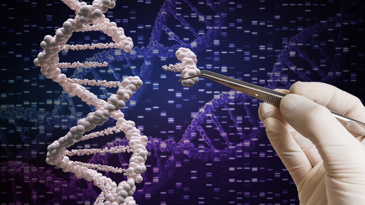Genetik Hastalıklarda Yeni Dönem: Embriyoda DNA Hatalarını Düzelten Yöntem Geliştirildi