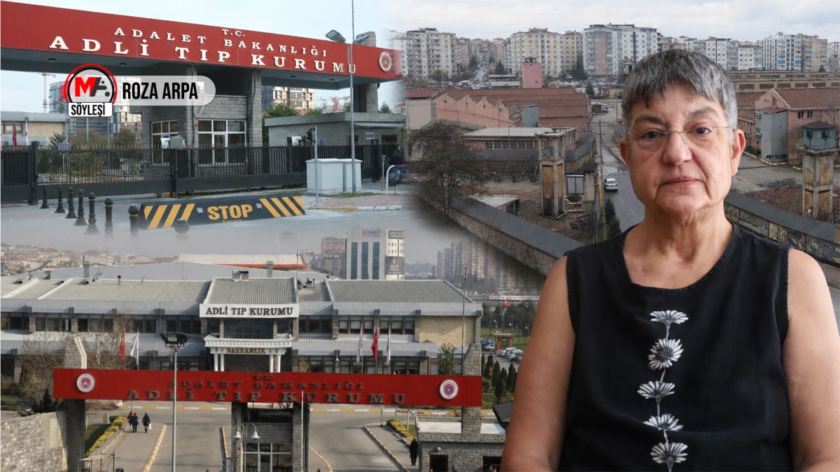 Şebnem Korur Fincancı: Barış sadece silahların bırakılması değildir