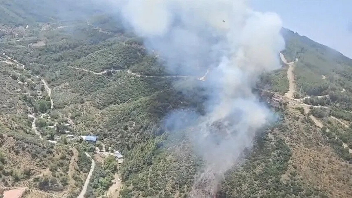 İzmir ve Kütahya’da Orman Yangınları: Müdahale Sürüyor