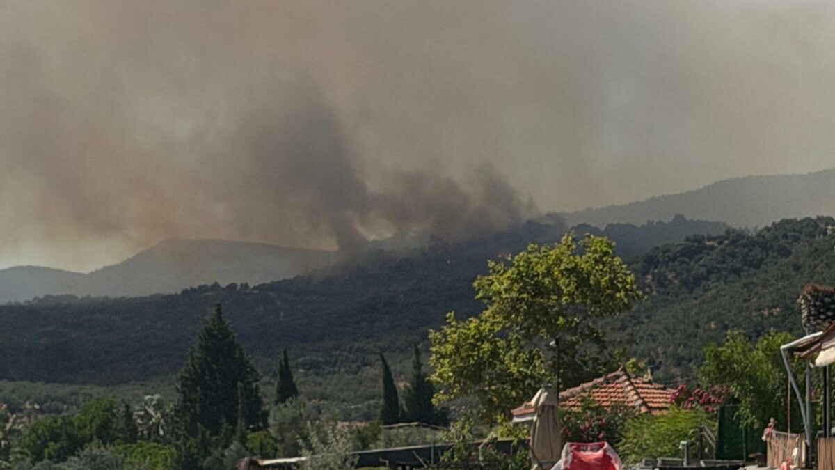 Çanakkale’de orman yangını yerleşim yerlerini tehdit ediyor: Tahliyeler başladı