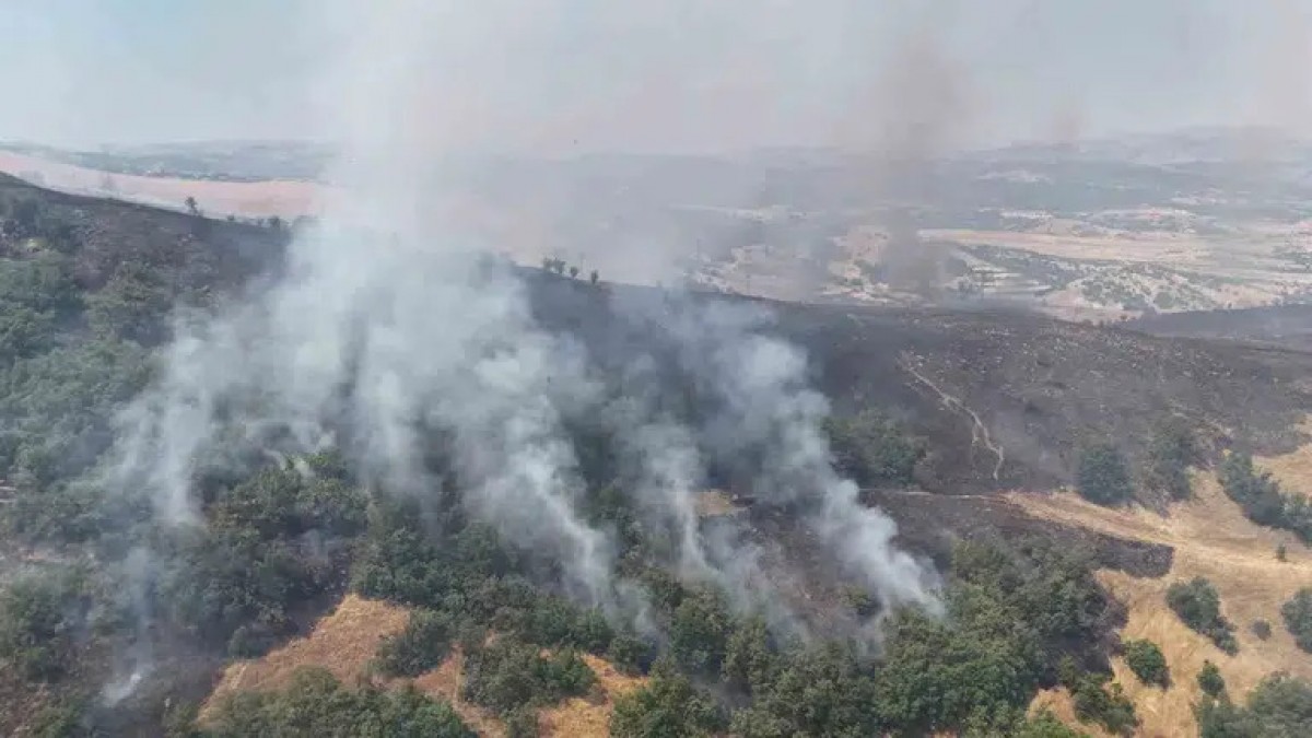 Dersim’de Orman Yangını: Alevler Rüzgarın Etkisiyle Yayılıyor