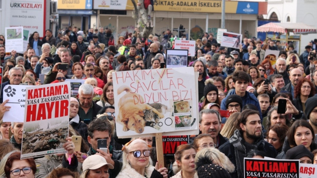 Yaşam savunucularından katliam yasasına karşı Kadıköy’de buluşma çağrısı