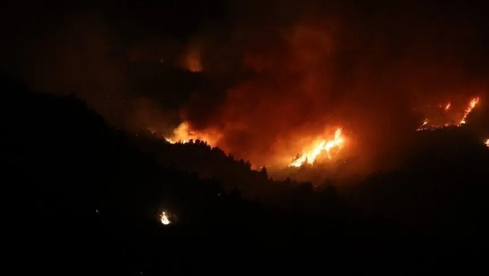 Cezayir’deki orman yangınlarında 12 kişi yaşamını yitirdi
