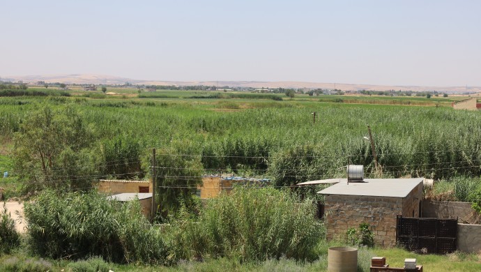 Suruç Ovası’nda Tarım Felaketi: Yanlış Planlama 60 Bin Dekar Araziyi Bataklığa Dönüştürdü