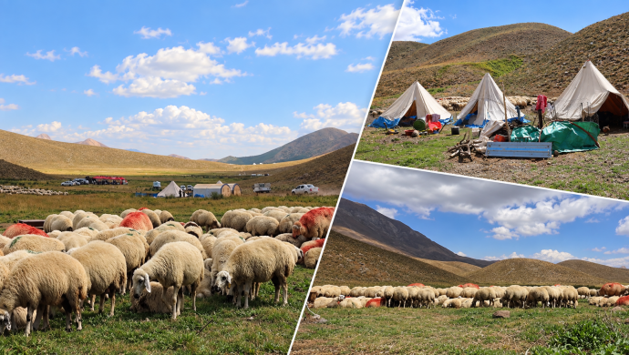 Dersim Yaylalarında Kadın Emekçilerin Üretim Direnişi: Yüksek Maliyetler ve Maden Tehdidi