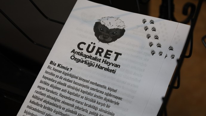 Cüret Hareketi’nden Çağrı: Hayvan Sömürüsü Kapitalizmin Bir Parçasıdır, Örgütlü Mücadele Şart