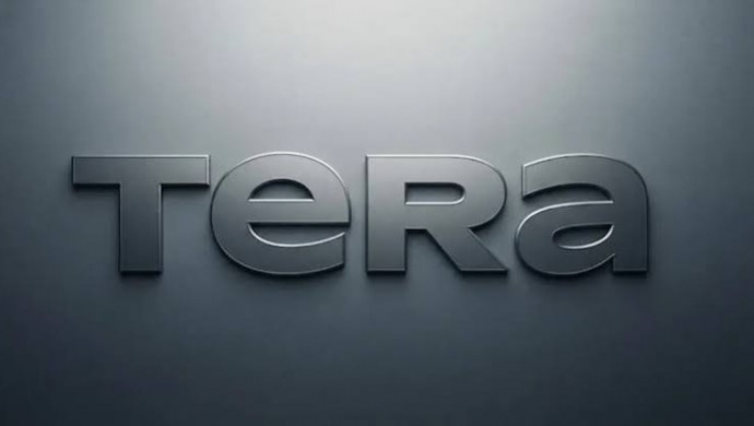 Tera Holding’e Yönelik Mali Operasyon: Genel Müdür Yardımcısı Gözaltında