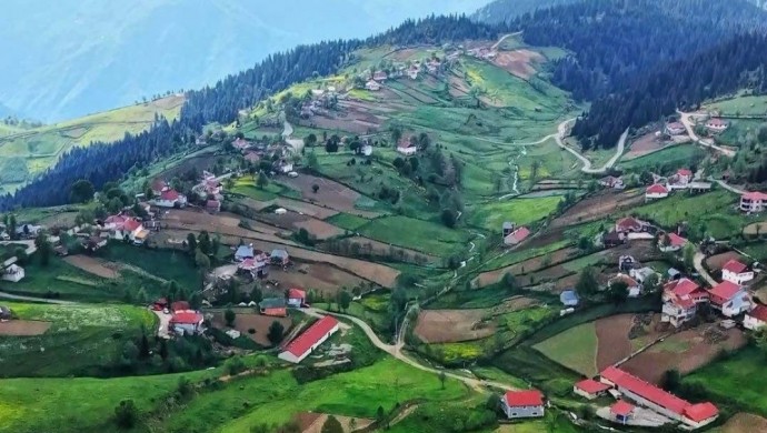 Ordu’da Çambaşı Yaylası İçin Hukuktan Çevre Zaferi: Maden Ocağı Projesi Kesin Olarak Durduruldu