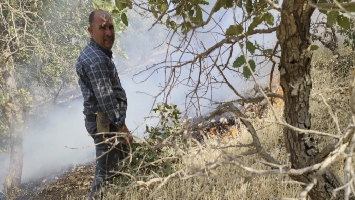 Cizre Kırsalında Karakoldan Atılan Toplarla Yangın: SİT Alanı ve Tarım Arazileri Zarar Gördü