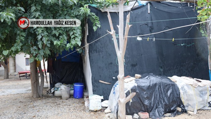 35 Yıldır Çadırlarda Yaşam Mücadelesi Veren Tarım İşçileri: Devlet Bizi Yok Sayıyor