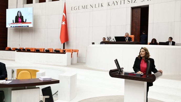 DEM Parti’den ‘Yatırım Fonları Manipülasyonu’ Tepkisi: Meclis Halkın Soyulmasına Kalkan Olamaz