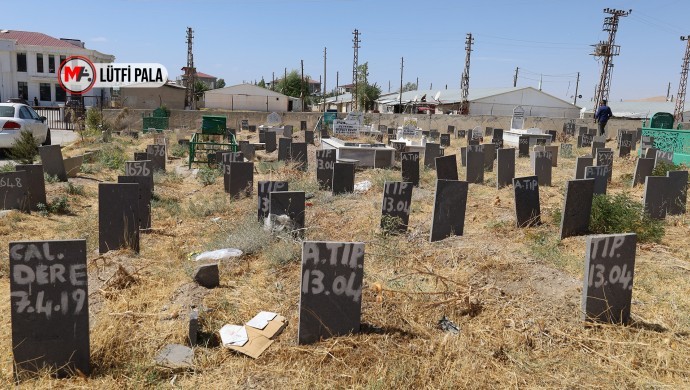 Van’daki Kimsesizler Mezarlığı’nda 14 Cenaze Kimlik Bekliyor: Ailelere DNA Çağrısı