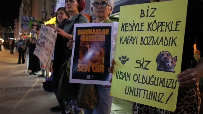 İzmir Barosu ve Yaşam Hakkı Savunucuları’ndan ‘Gerçek Koruma’ Talebi: Yeni Hayvan Hakları Yasası Şart