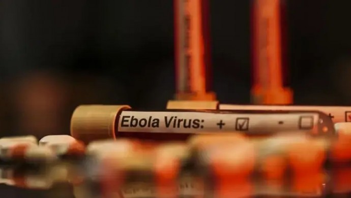 Nijerya Başkentinde Ebola Virüsü Tespit Edildi: Sağlık Ekipleri Harekete Geçti